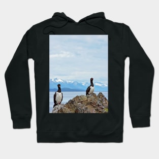 King cormorants Hoodie